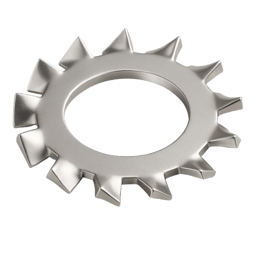Lock Washer External Tooth Stainless Steel 1/4 * 1/2 OD