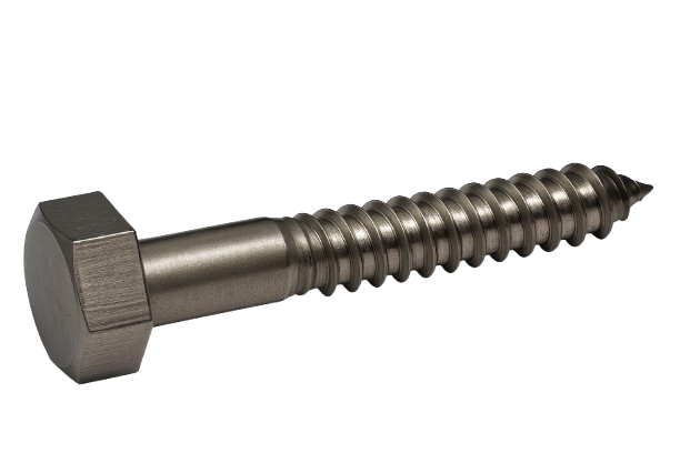 Hexagonal Lag Screw Stainless Steel 1/2 * 2"