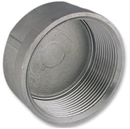 Low Pressure Threaded Cap Fitting 316 Stainless Steel 1/8-27 [NPT]