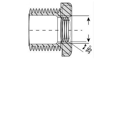 Low Pressure Bushing Adapter Pipe Fitting 316 Stainless Steel 2-1/2-8 Male Reduce to 1/2-14 Female [NPT]